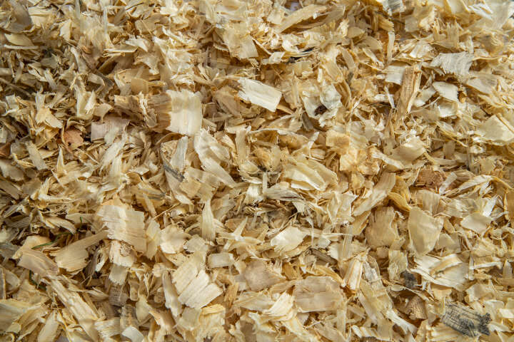 KANTRIE Hobelspäne XL